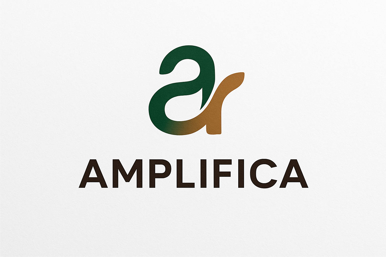 Amplifica