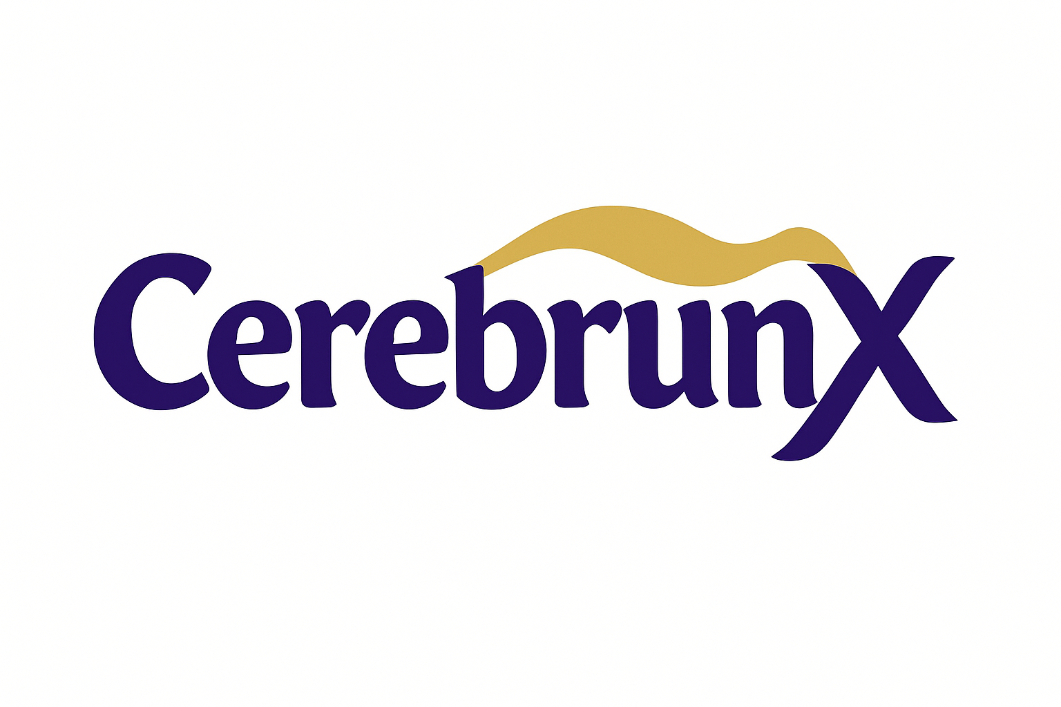 CerebrumX